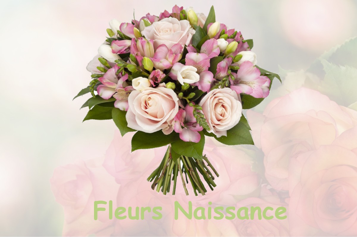 fleurs naissance ABERGEMENT-LES-THESY