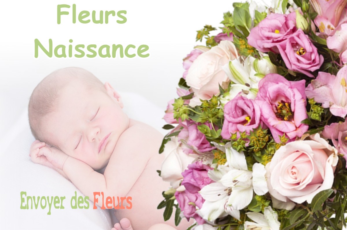 lIVRAISON FLEURS NAISSANCE à ABERGEMENT-LES-THESY